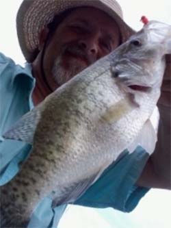 Crappie caught by ketchn using Pepop Jigs